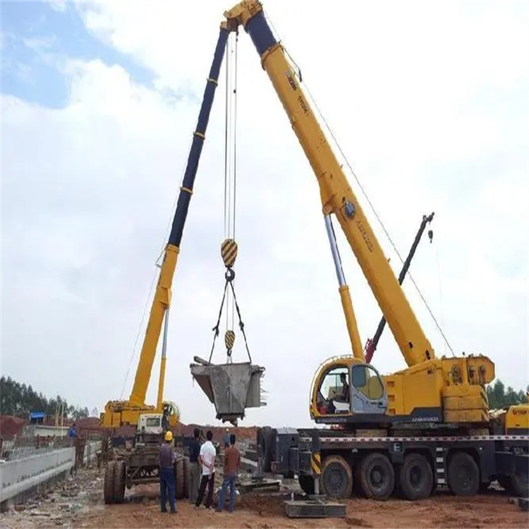 乐陵小型吊机出租电话|厂房设备吊装方案|24小时服务覆盖